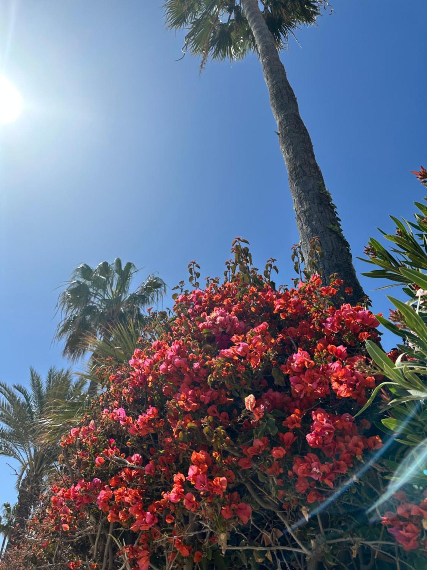 דירות סנטה פולה Relax Casa Costa Blanka מראה חיצוני תמונה